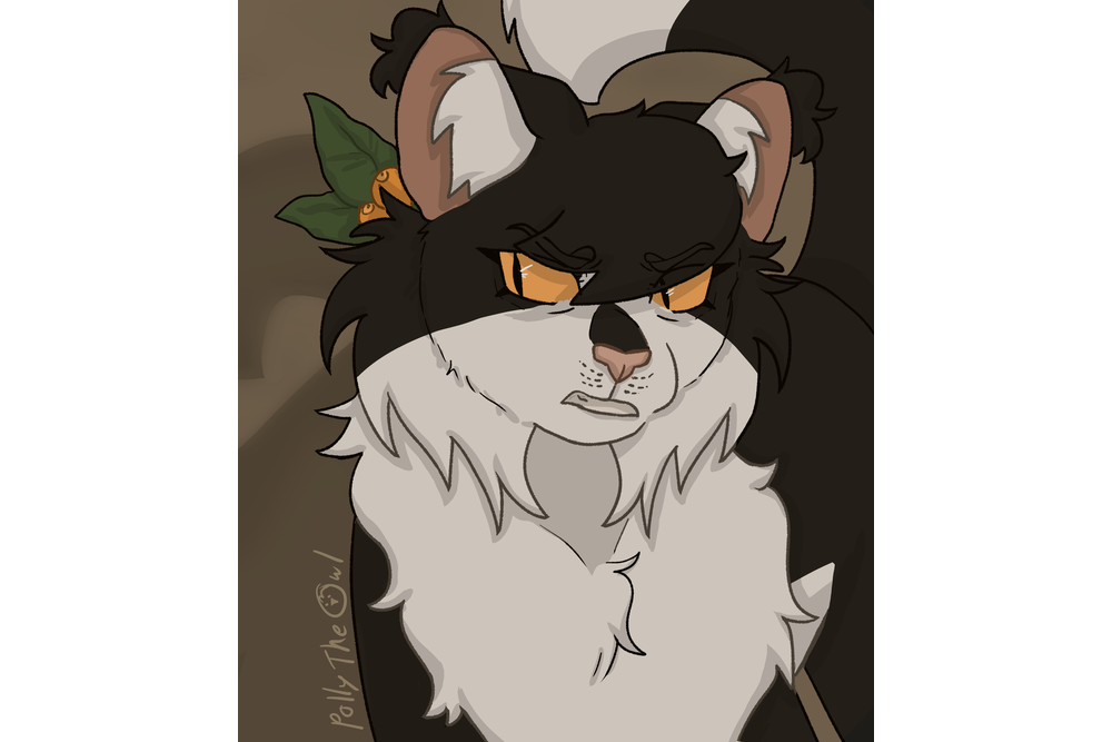 shadow_kitty23 – The Kin challenge